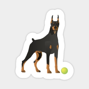 Doberman Dog with a Green Ball Magnet