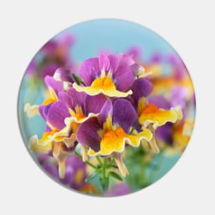 Nemesia  Aroma Rhubarb &amp; Custard  Aroma Series Pin