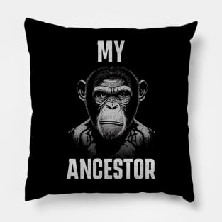 Monkey Face | My Ancestor Pillow