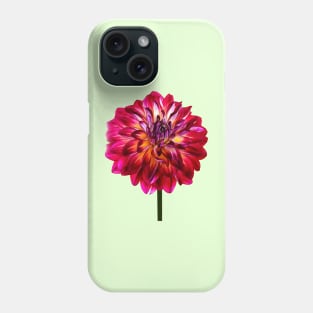 Red Dahlia Tinted With Yellow Phone Case