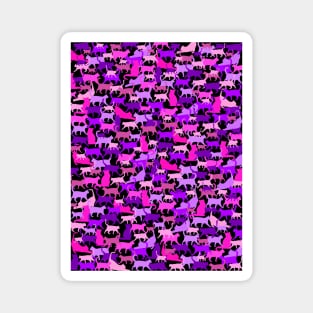 Colorful Cute Cats Magnet