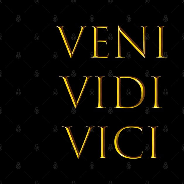 VENI VIDI VICI by NV