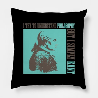 I try to understand philosophy Pillow