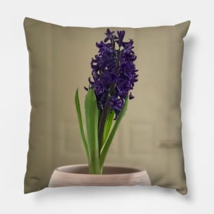 Fragrant purple home hyacinth vase Pillow