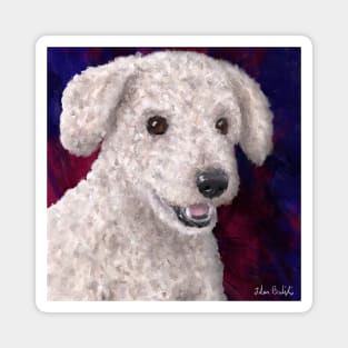 Painting of a Cute Fluffy White Maltipoo Smiling on Red and Purple Background Magnet
