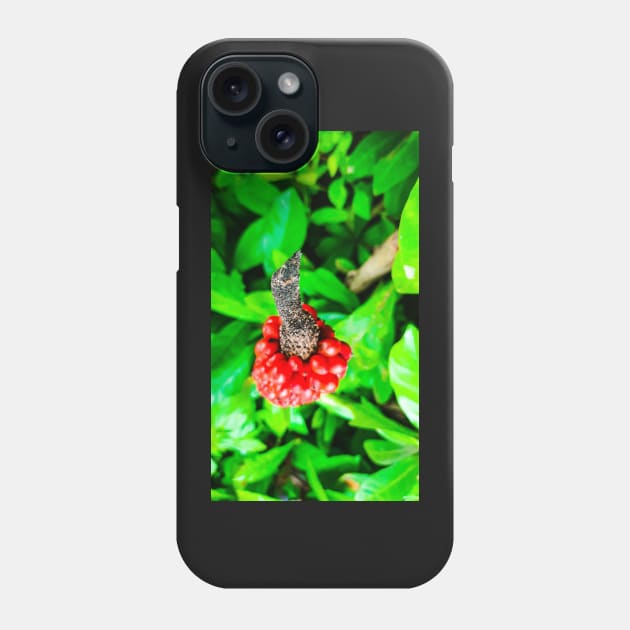 Red peppercorn with bird beak Phone Case by kall3bu