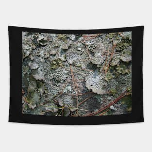 Woodland floor-Available As Art Prints-Mugs,Cases,Duvets,T Shirts,Stickers,etc Tapestry