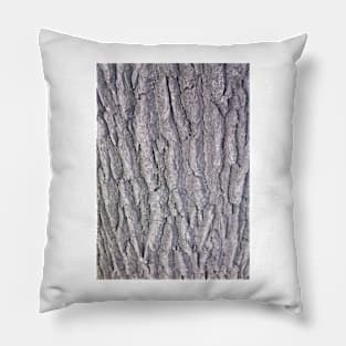 Texture - Tree bark Pillow