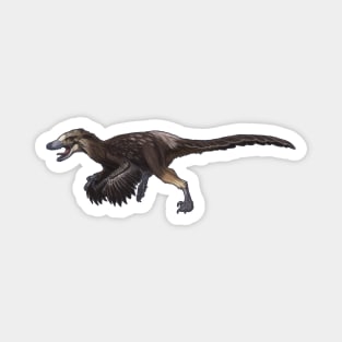 Velociraptor mongoliensis Magnet