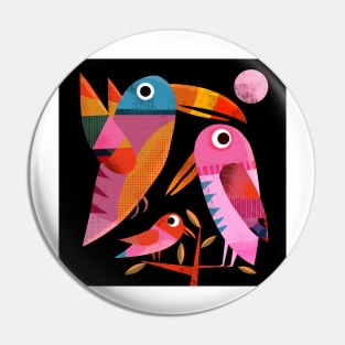 Three Birds at Night Pin