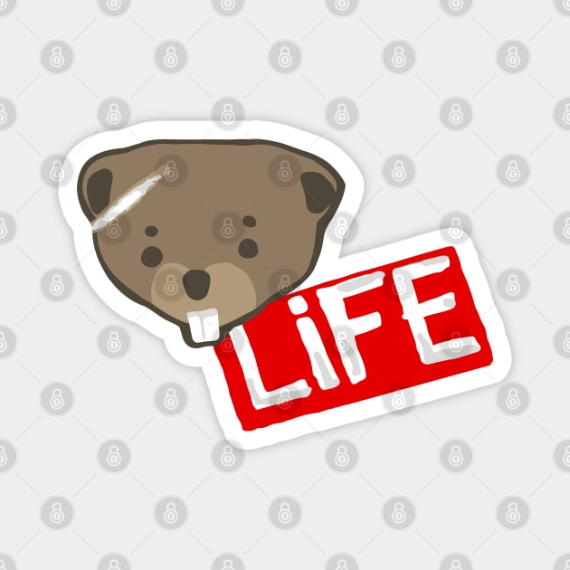 Life Is Strange Beaver Magnet by katmargoli