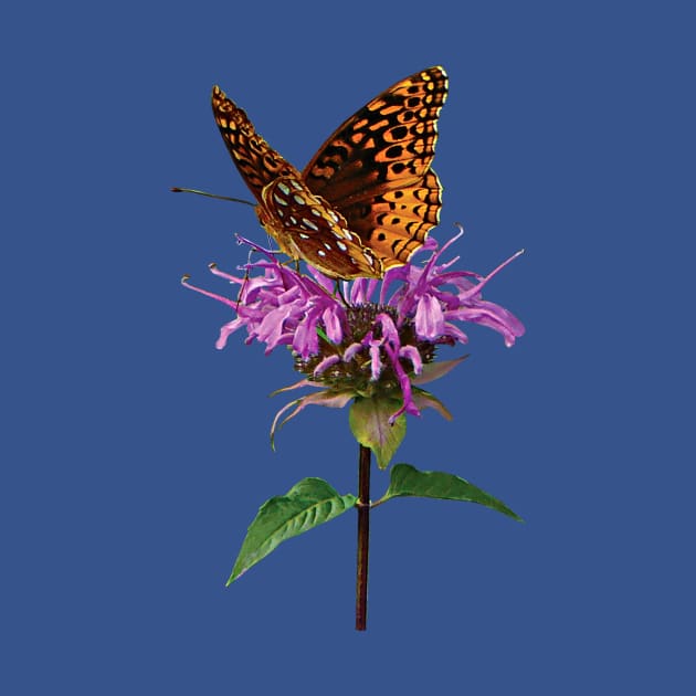 Bee Balm - Fritillary on Lavender Bee Balm by SusanSavad