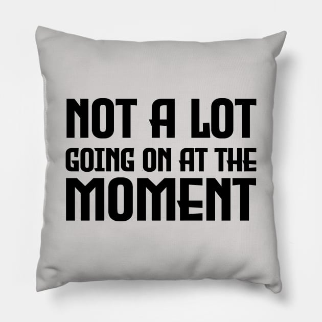 Not a lot going on at the moment Pillow by Purrfect Corner