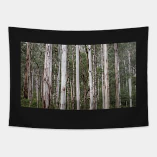 Trees Deep in the Yarra Ranges Tapestry