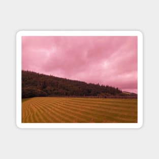 Landscape Photography Magnet