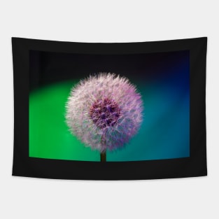 Dandelion head blue green background Tapestry