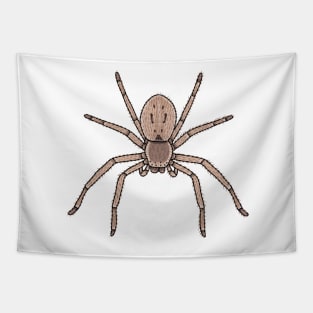 Isopeda Woodwardi huntsman spider Tapestry