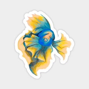 Betta Fish Magnet