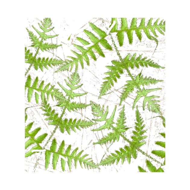 Woodsy fern print by Dillyzip1202