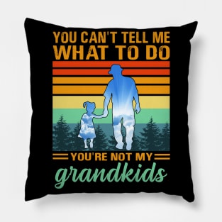 you can't tell me what to do you're not my grandkids Pillow