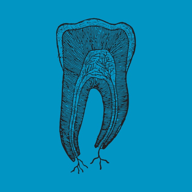 Tooth by chapter2