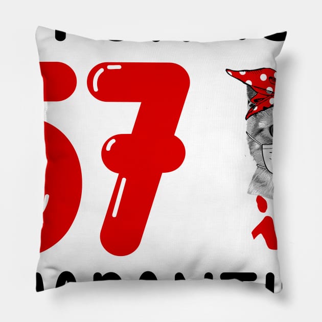 I Turned 57 In Quarantine Funny Cat Facemask Pillow by David Darry