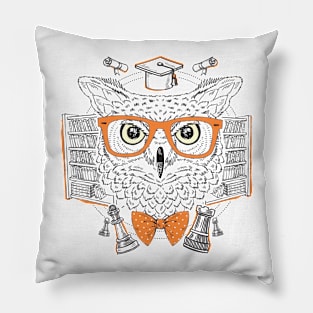 Owl smarts Pillow