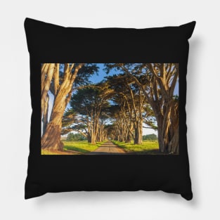 Monterey Cypresses Pillow