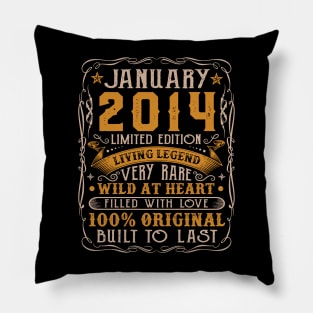 10 Year Old January 2014 Limited Edition 10th Birthday Pillow