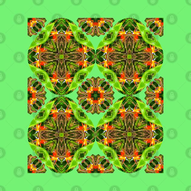 Beautiful Canna Flower Pattern. by PatternFlower