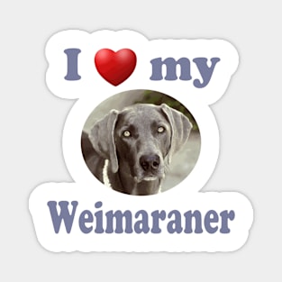 I Love My Weimaraner Magnet