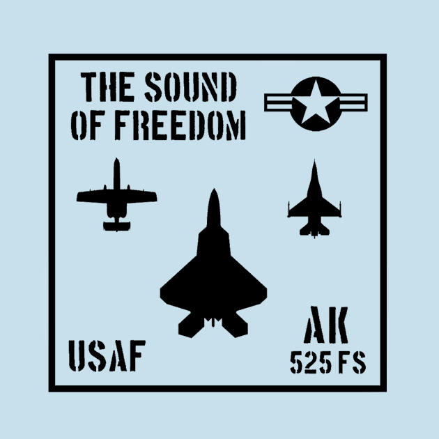 USAF Sound of Freedom by T. Alan Hulsopple Designs