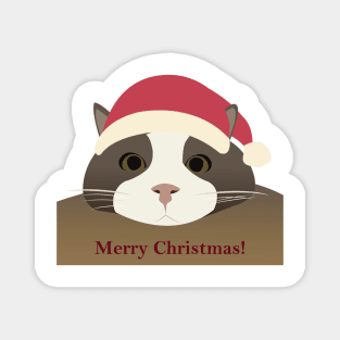 Merry Christmas Magnet