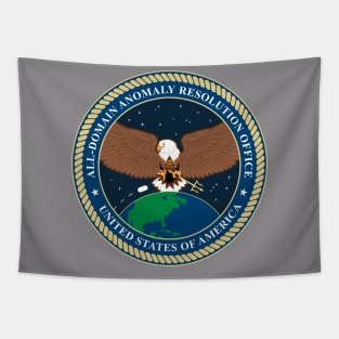 All-Domain Anomaly Resolution Office (AARO) Insignia Tapestry