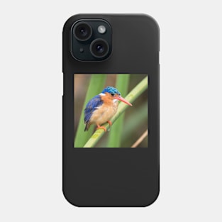 Malachite Kingfisher Phone Case