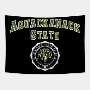 Aquackanack State College Tapestry