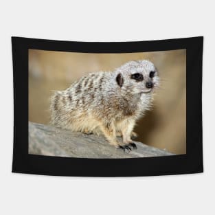 Meerkat Tapestry