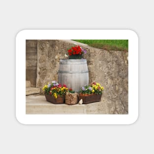 Pansies and Wooden Barrel 1 Magnet