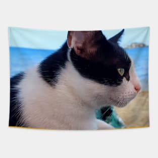 Cat on the Beach Tapestry