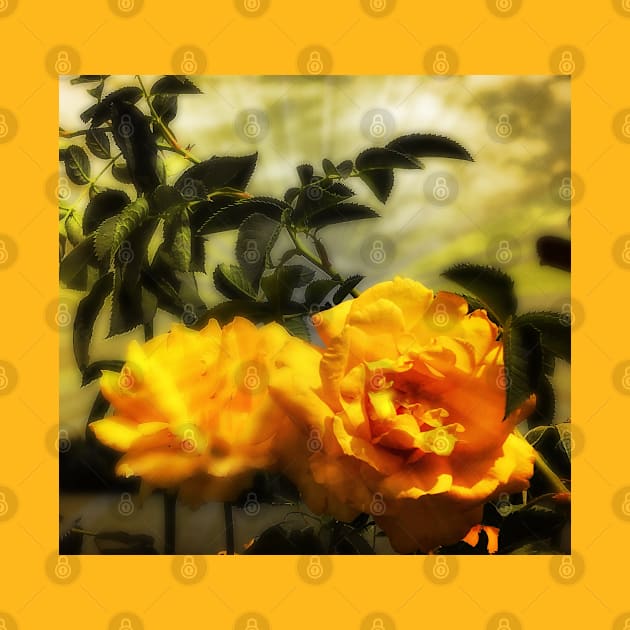 Yellow roses floral with angelic sky by Khala