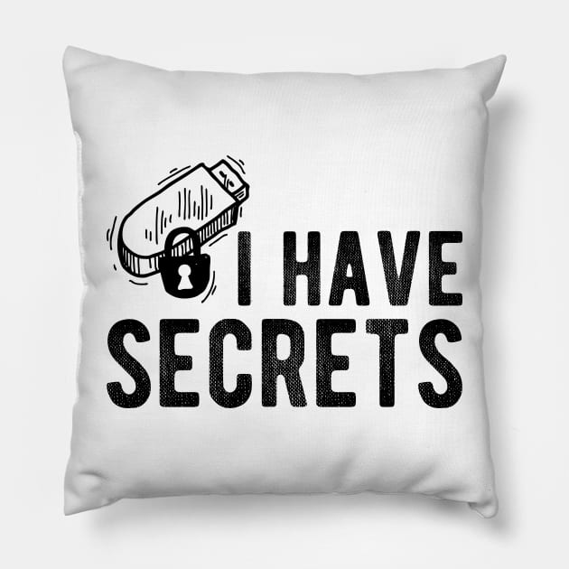 USB I Have Secrets Pillow by KC Happy Shop