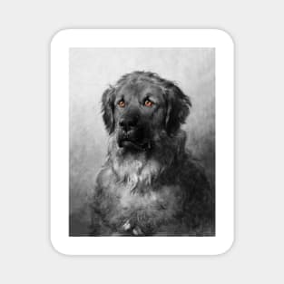 Portrait Of A Dog Magnet