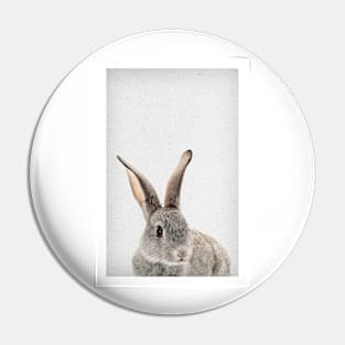 Rabbit 34 Pin