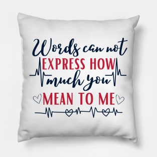 Words Can Not Express How Much You Mean To Me Pillow