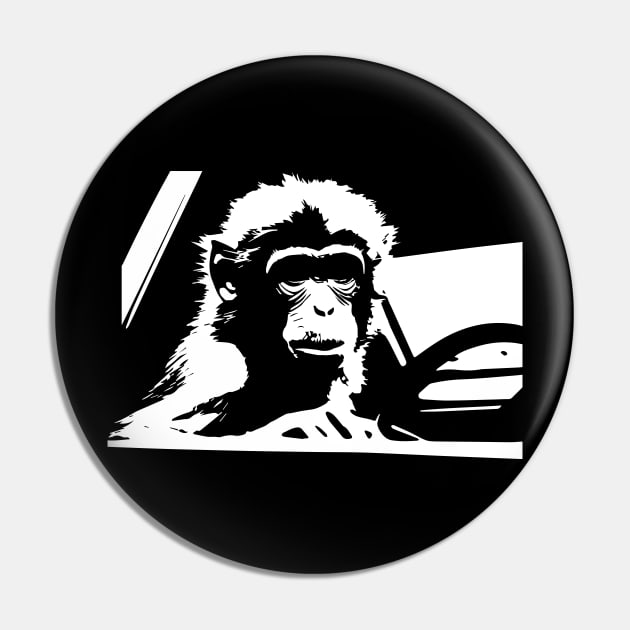 monkey driving a taxi Pin by lkn