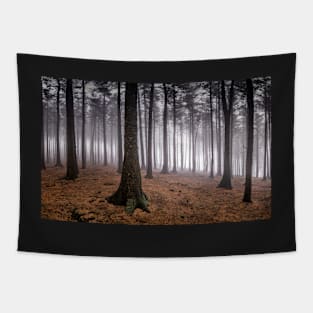 Misty Forest Tapestry