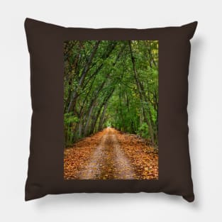 Nestos riverside road - Macedonia, Greece. Pillow