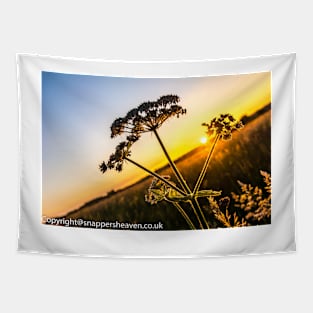 Cowslip at sunset from Meadowflower Collection Tapestry