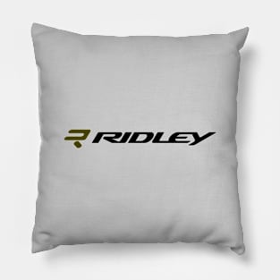 Performance Meets Passion Pillow