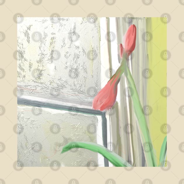 Budding Amaryllis By Winter Window by trishaclarkin